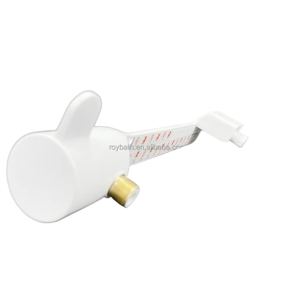 Modern Products 2024 Toilet Bidet With Nozzle Cleaner Bidet Jet Wash   H4637eb69e3034f2c882756d4a27836ece 