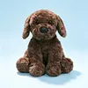 Labrador dog