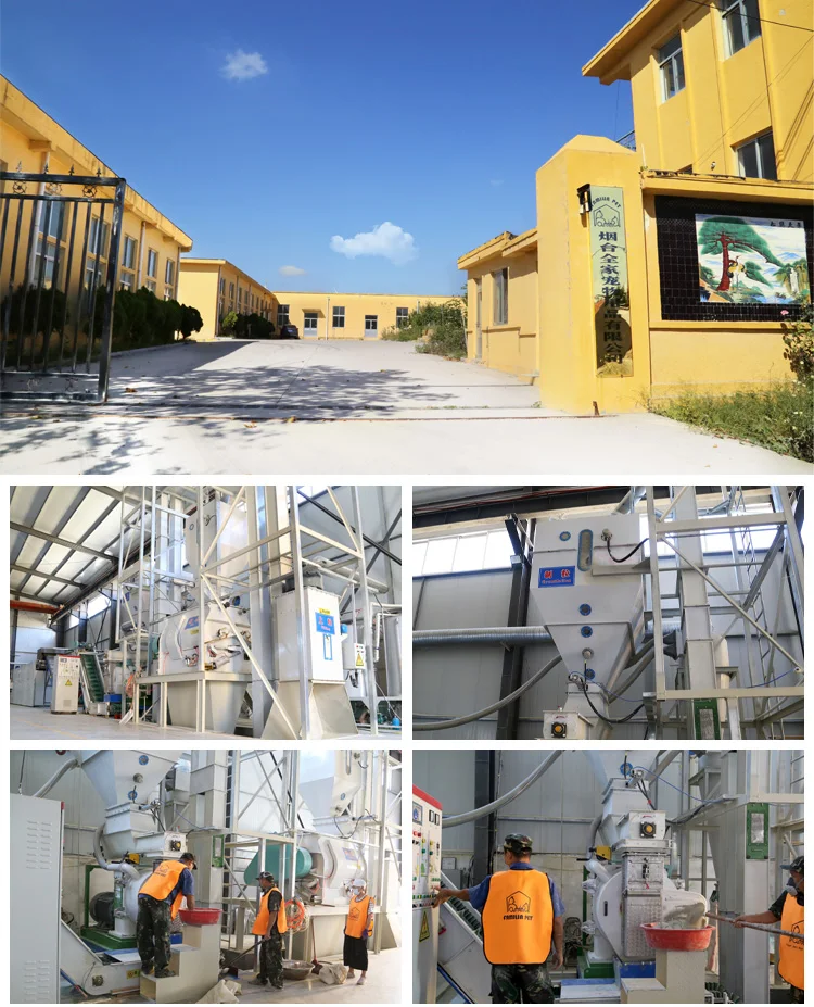 Litter Clean Cat Free Sample Wholesale Factory Price Good Quality Non