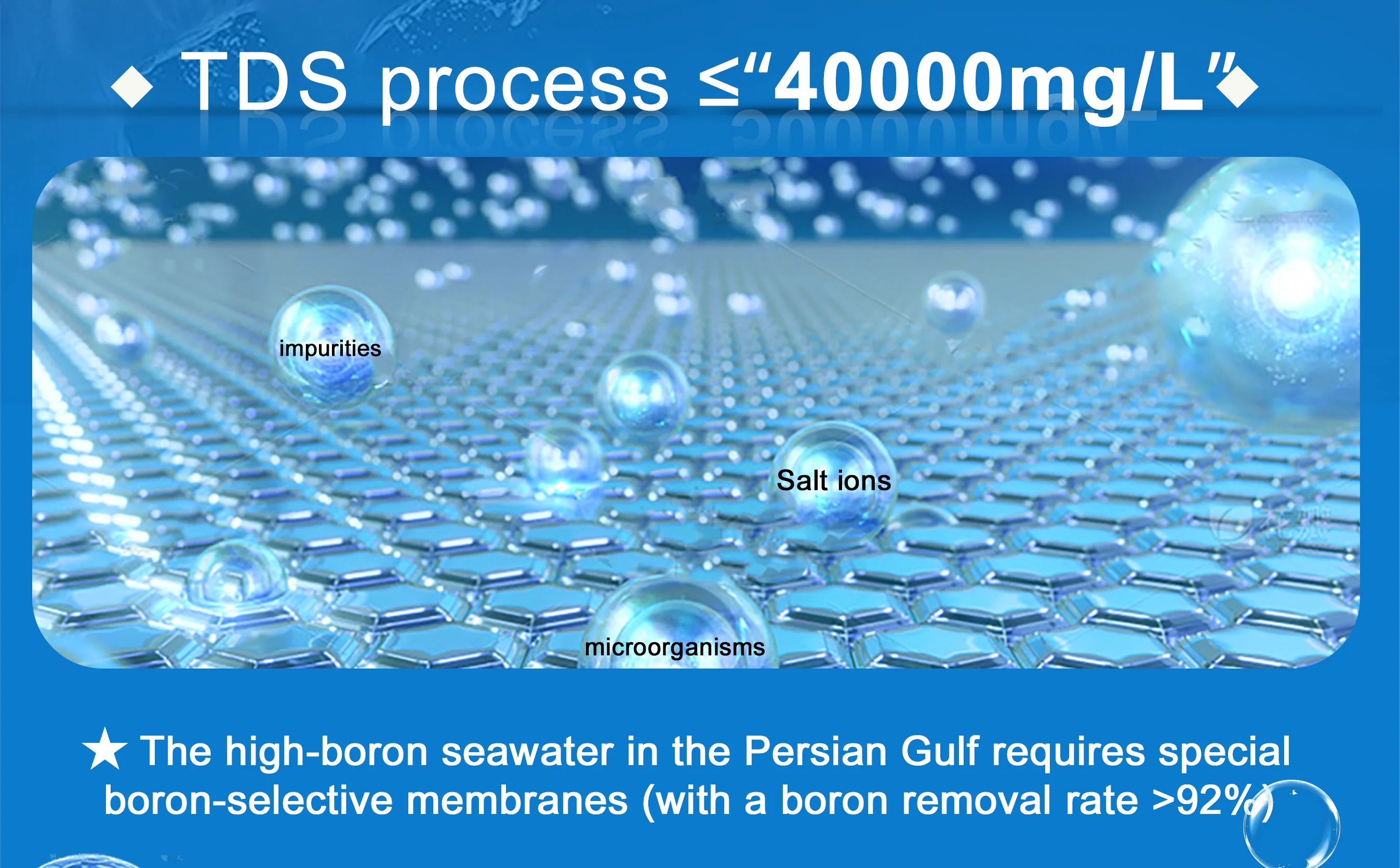 30 M3/d Reverse Osmosis System Water Filter with Ro Membrane Water Treatment Plant for Sea Water Desalination supplier