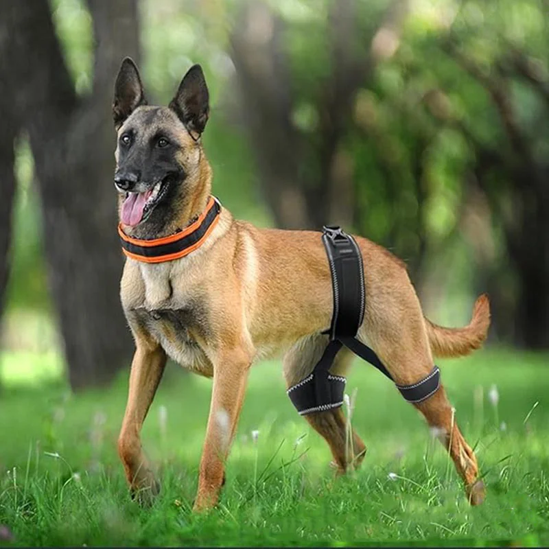 Dogs Hip Orthotic Dysplasia Support Strap For Pain Relief Prevention Hip Barrier Protection