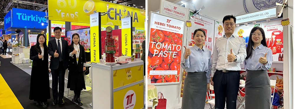 Factory Halal 800g/ 850g*12tins Tomato Paste Brix: 28-30% Canned Tomato Paste for Europe