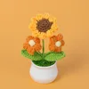 Small Sunflower + Orange Double Puff - Potted Plant