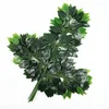 12 alberi di Ficus microcarpa con rivestimento in resina