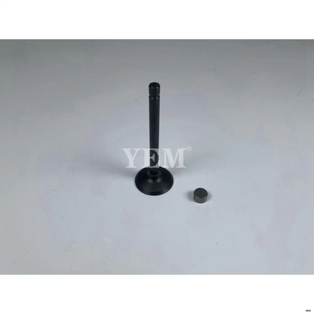 Inlet Valve H1G80-13100 for Kubota Forklift Excavator Loaders