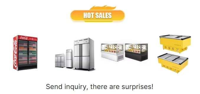 Blast Freezer, 110 V, Stainless Steel - detail 4