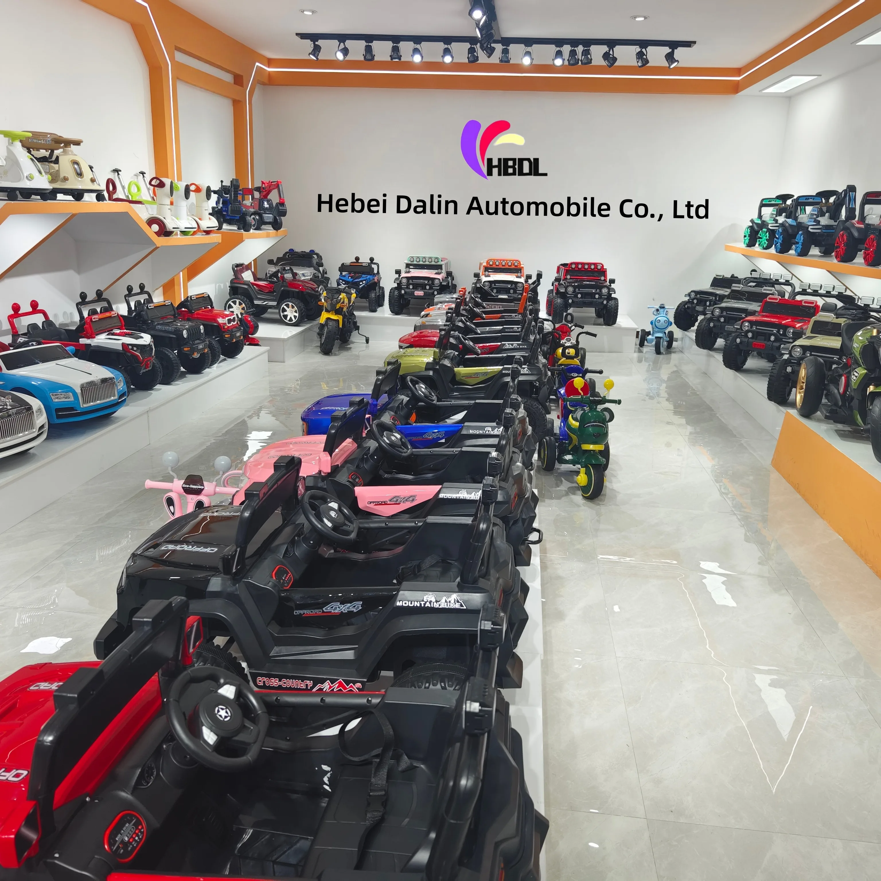 Hebei Dalin Bicycle Co., Ltd. 1