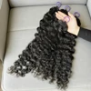 bouclé birmans