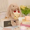 Cake rabbit