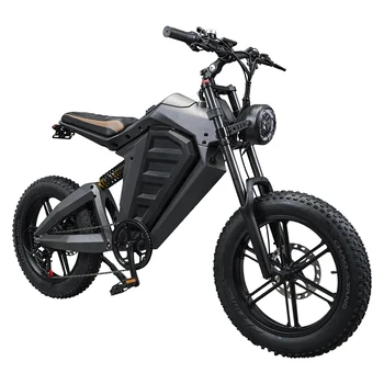 Powerful 750W Ebike Adult Electric Road Bike 20inch Fat Tire Off Road Electric Mountain Bicycle 750W Motor Electric Bike Bicycle