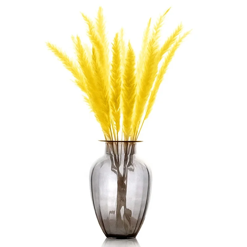 amazon top seller dried flower pink pampas grass as decor