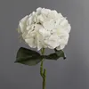 White #1