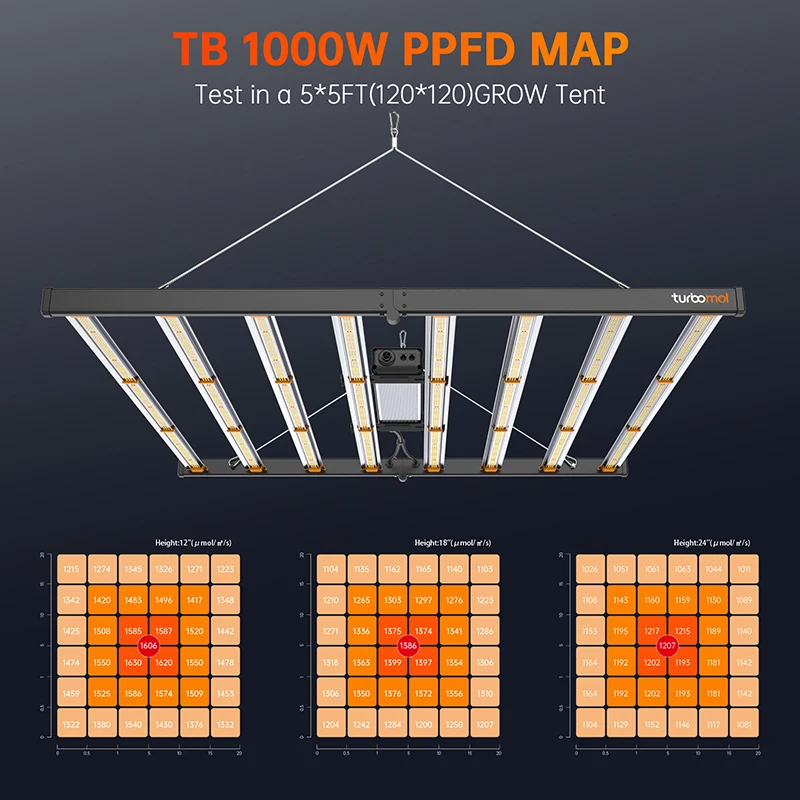 product-1-1 product-1-1