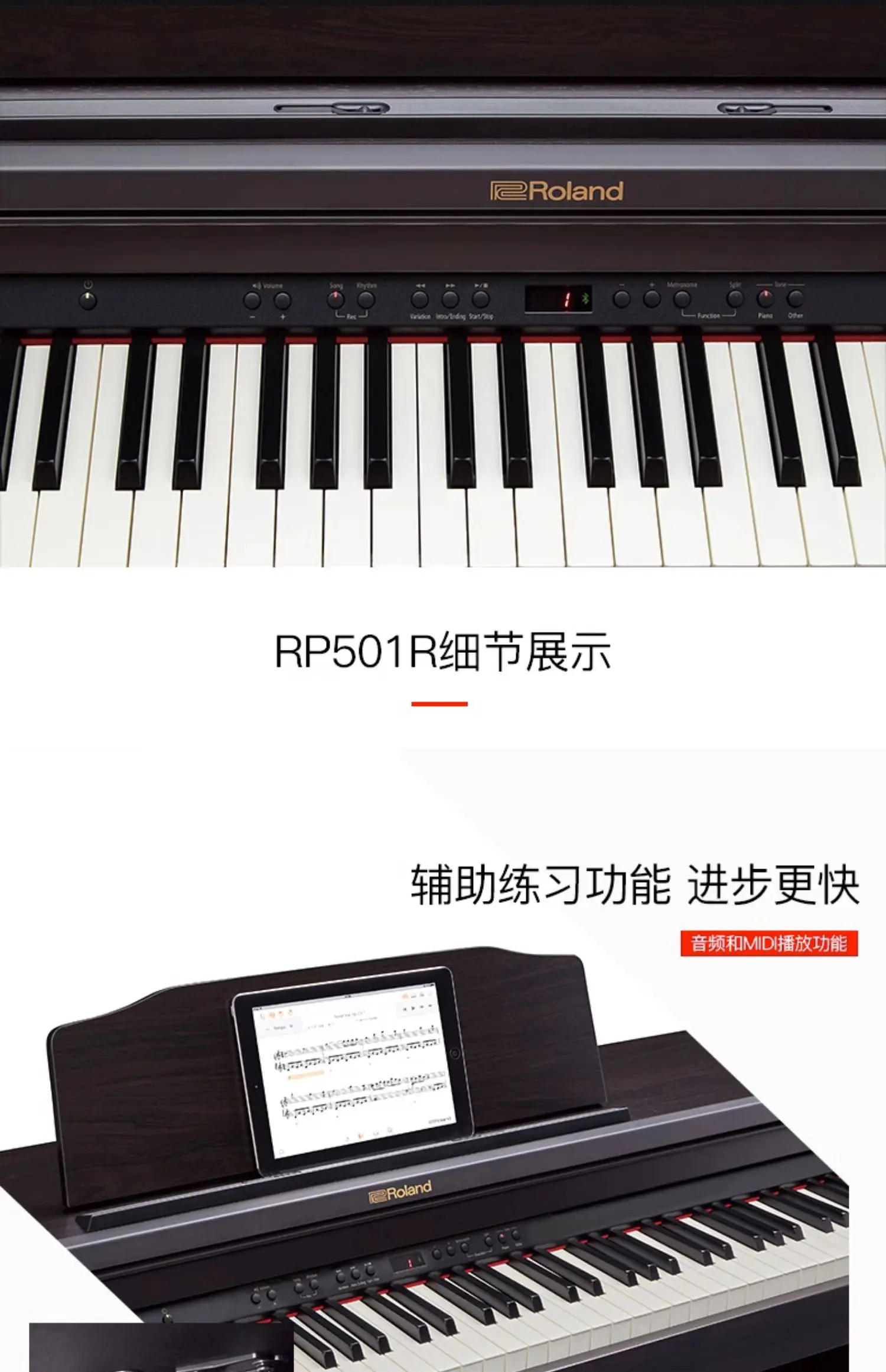 Roland RP501R CR - 88-Key Digital Piano with Hammer Action