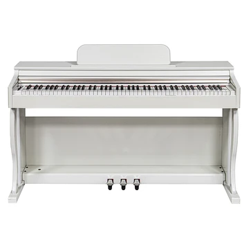 Classic Electric Upright Digital Piano in Stock Super used for Kids Learning
