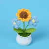 Small size sunflower blue double puff-potted