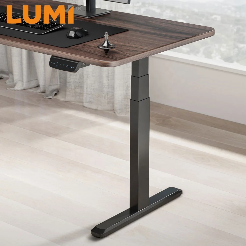 Office Ergo Table Computer Ergonomic up Down Memory Controller Height Adjustable Dual Motor Electric Sit Standing Desk Leg Frame