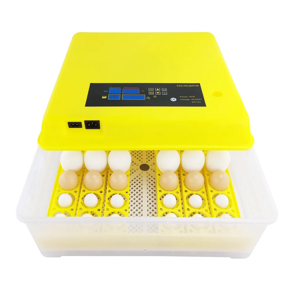 220v+12v Rechargeable Battery 48 Automatic Incubators Mini Manual Egg ...