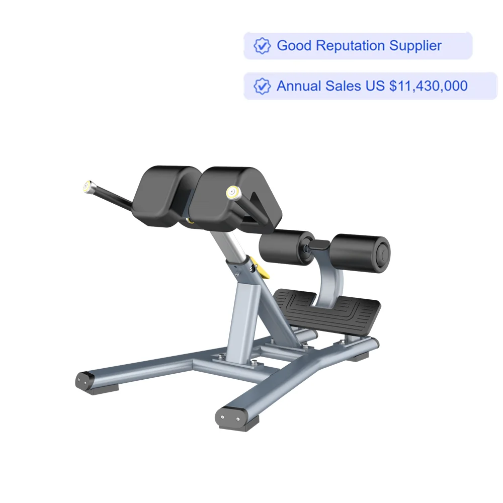 Commercial Horizontal Adjustable Back Extension Roman Chair Racks Bench ...