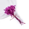 Pourpre