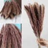 Piccolo naturale (30pcs/bundle)