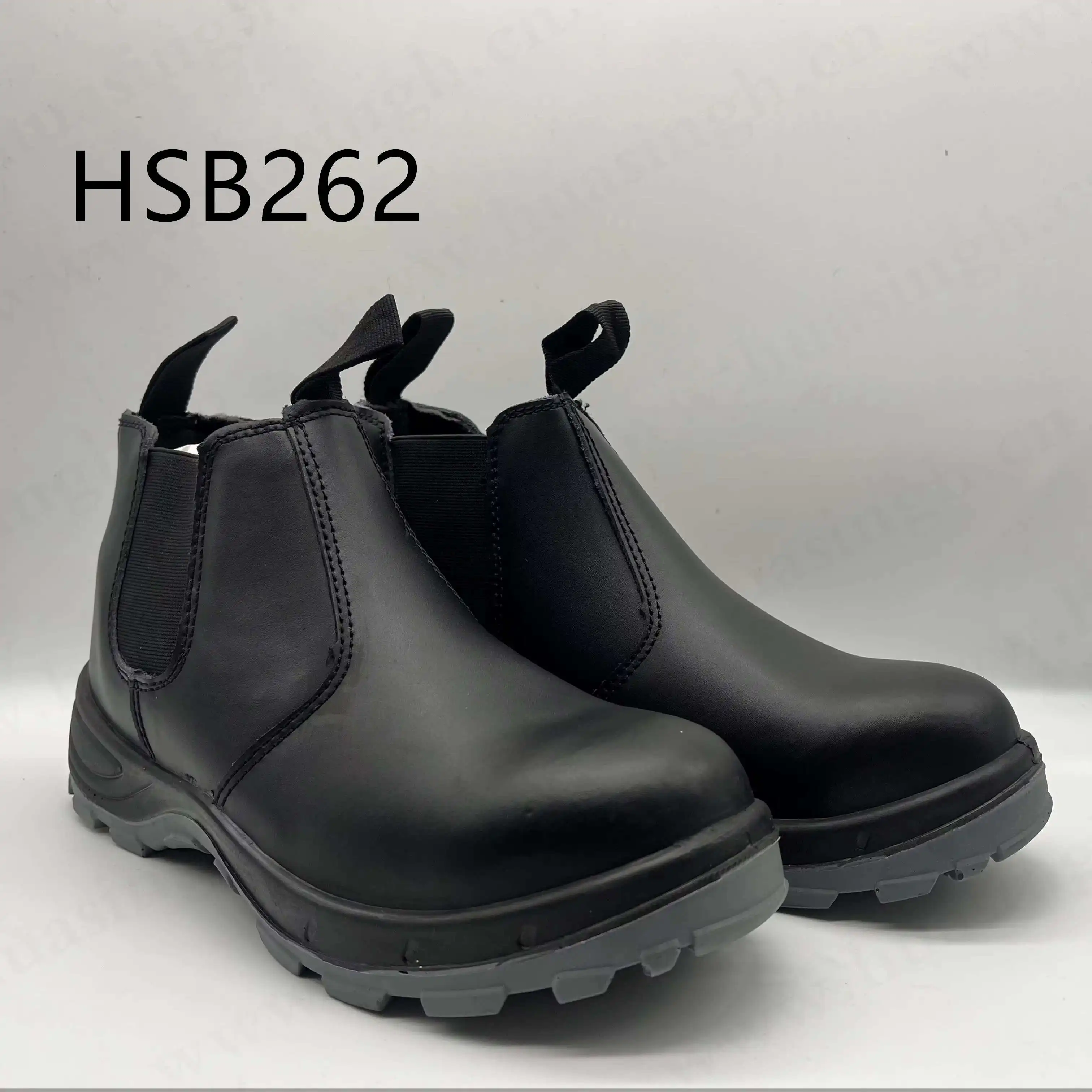 HSB262 (2)