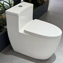 Wholesale Multi-Functions Toilet Bidet with Water Tank Ceramic Toilet Bowl Wc Toilet with Night Lamp