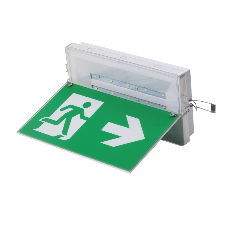 Bulkhead Including PVC Exit Slice  Big Size Factory Direct 5W LED Emergency IP65 Waterproof Ceiling Recessed Emergency LED Light