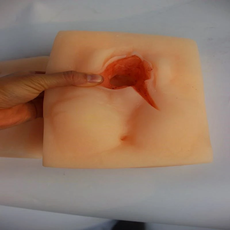 Advanced Vulva Suture Exercise Model Vagina Suturing Practise Model
