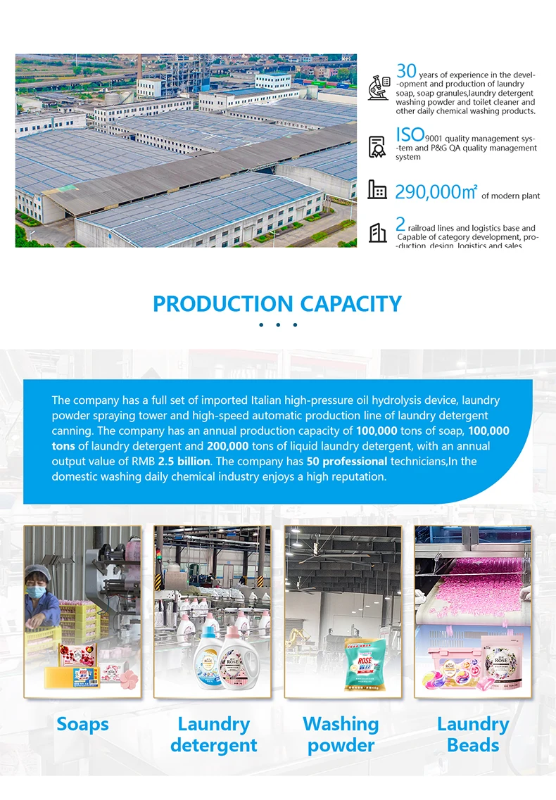 Oem Chemical Formula Of Washing Powder Detergent Powder Manufacturer