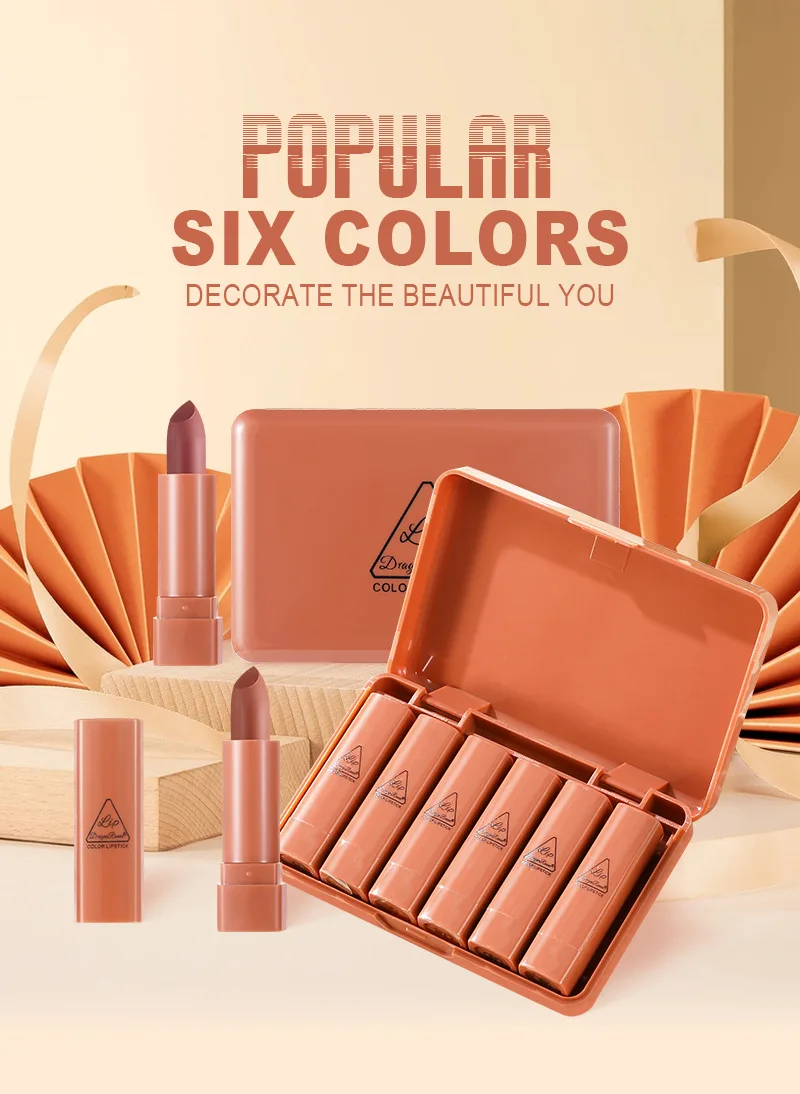 Dragonranee ODM Mini Cute Lipstick Sample Set 6 Vegan Nude Matte Lipsticks and Lip Gloss Lasting Pencil Form Box Packaging