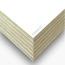Plywood Biz Standard Plastic Plywood Combi Core 1220*2440*18mm 1250*2500*21mm WBP glue