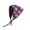 Sunflower purple-budget alternative