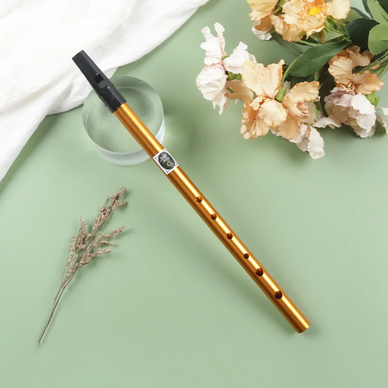 6 Holes Copper Traditional Irish Whistle Flute C/D Key Flute Chanter Mini Pocket Musical aperçu 9