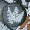 MH687 Deersfoot Fern 7-10cm white 50pcs