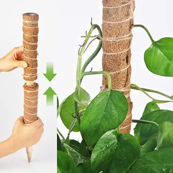 4-Pieces: Coco Coir Extendable Moss Pole for Climbing Plants | 32cm