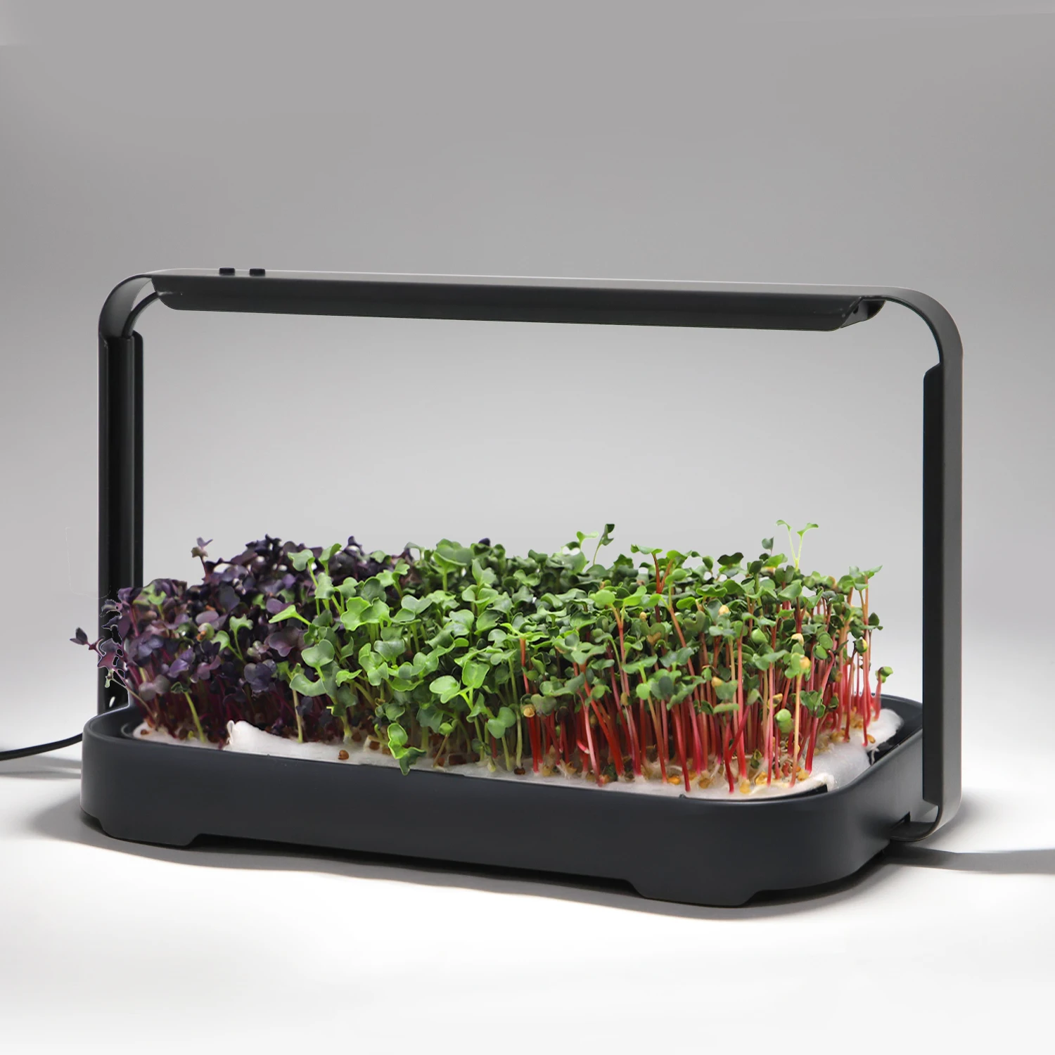 Mini Hanging Indoor Home Grow Light Smart Garden Planter Herb Seed Sprouter  Kit USB Powered Automatic Full-Spectrum Eco-Friendly| Alibaba.com