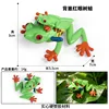 le coloré M-2757 transporte des grenouilles arboricoles aux yeux rouges