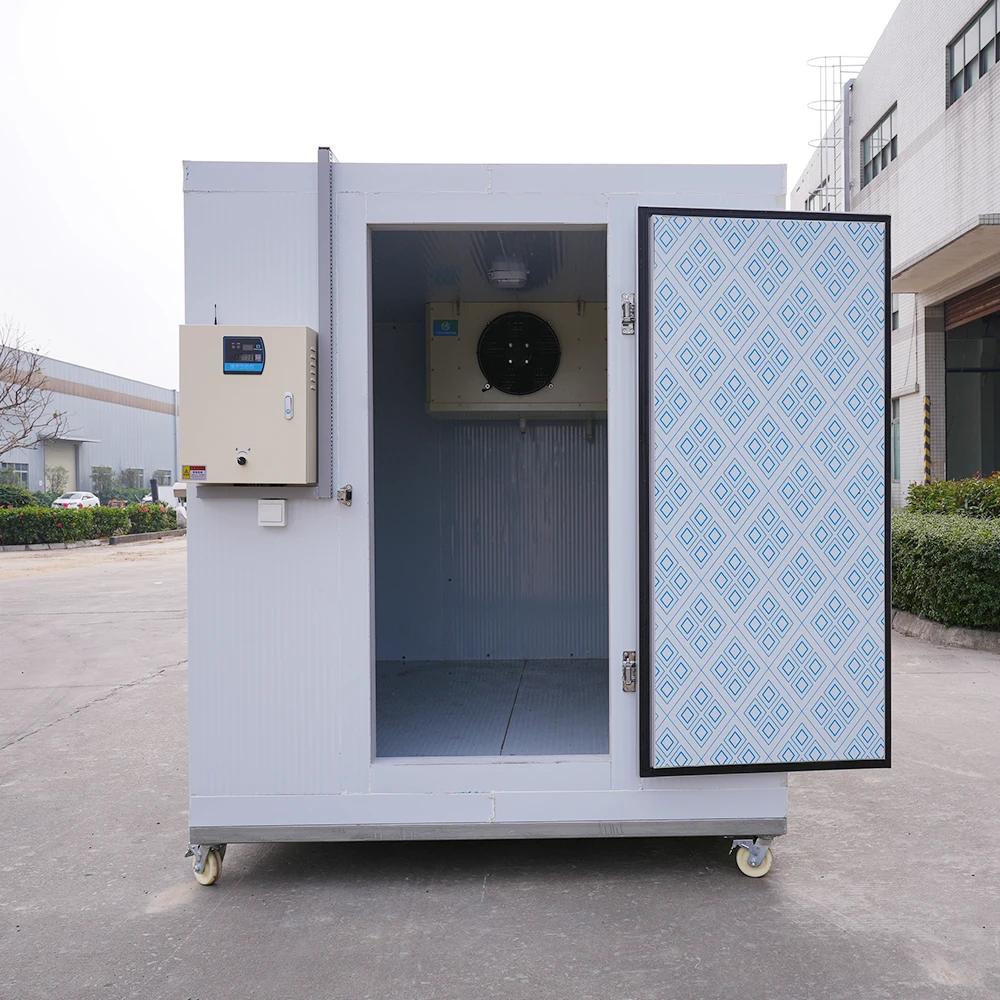 20ft Mini Easy Operate Cold Room Supplier Sale Container Commercial Refrigeration Compressor Unit Freezer Storage Room for Meat