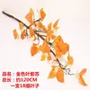 Golden Leaf Perilla