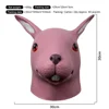 Lapin rose