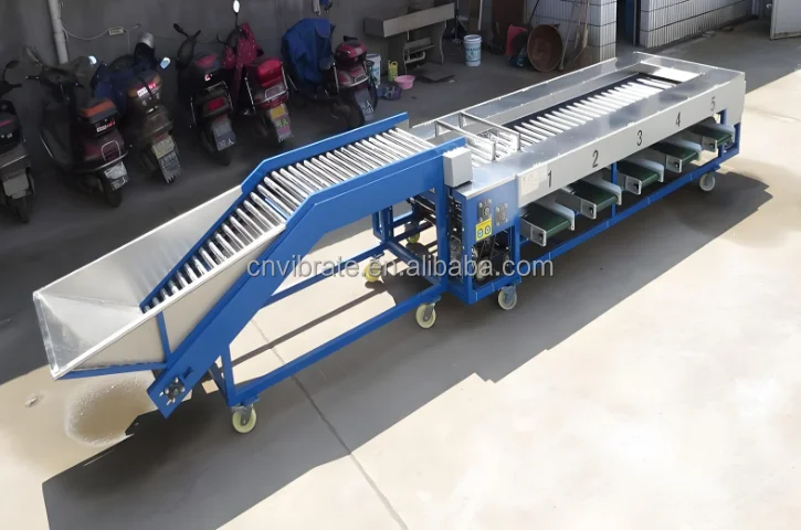 VBJX Date Cherry Cucumber apple Ginger Carrot Chilli Vegetable Fruit Defect for Sorting Grading Sorter Grader Machine