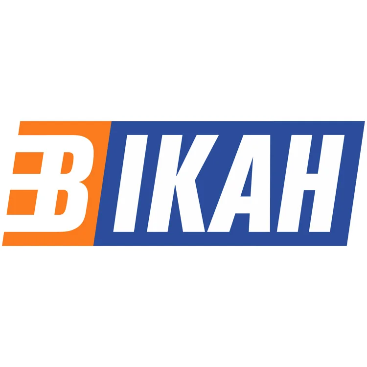 Company Overview - Ruian Bikah Auto Parts Co., Ltd.