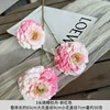 Peonia koi a 3 teste