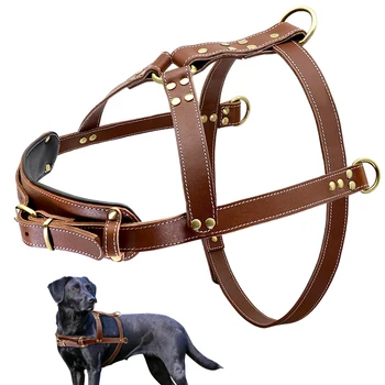 Buy Wholesale China Carex Dark Brown Full Grain Leather Dog Harness Luxury  Brass Buckle With Genuine Leather Handmade & Genuine Leather Dog Harness at  USD 110