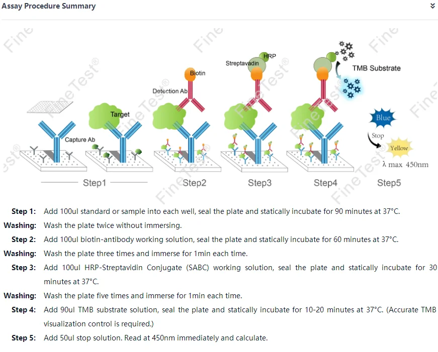 FineTest High Sensitivity BMP 2 ELISA Kit Scientific Research Chicken Bone Morphogenetic Protein 2 Assay Chemical Reagents