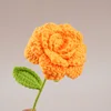 กุหลาบปลายสีส้ม
