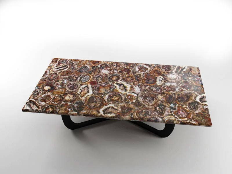 Brown fossil Stone Petrified Wood Semiprecious Stones Slab Table Price