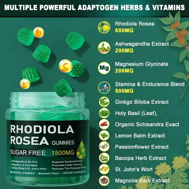 Sugar Free Rhodiola Rosea Ashwagandha Ginkgo Biloba Gummies for Mood Stress Restore Energy From Fatigue Stamina  Endurance details
