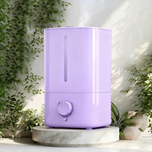 Custom Popular Low Noise Ultrasonic Cool-Mist Diffuser Home Humidifiers Plants Humidifier